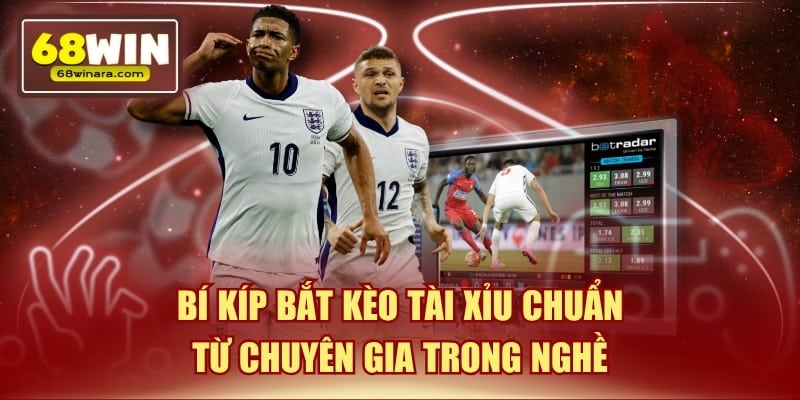 Bí kíp bắt kèo tài xỉu chuẩn từ chuyên gia trong nghề