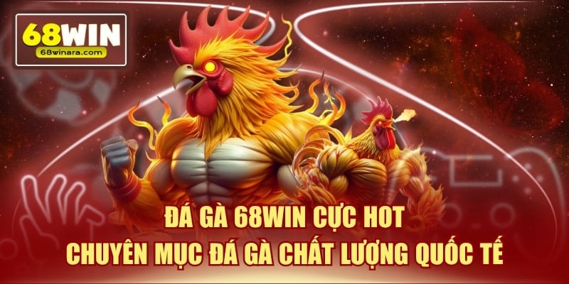 Đá gà 68WIN được thiết kế đa dạng với 8 loại kèo khác nhau
