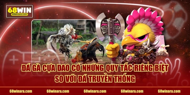 Đá gà cựa dao có những quy tắc riêng biệt so với đá truyền thống