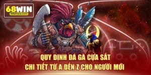 Quy định đá gà cựa sắt chi tiết từ a đến z cho người mới