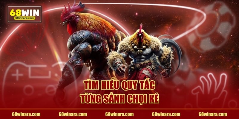 Tìm hiểu quy tắc từng sảnh chọi kê